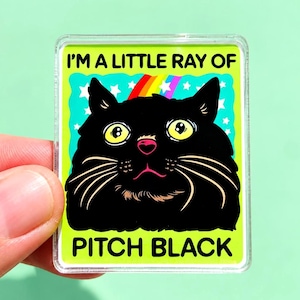 Funny Black Cat Magnet Hillarious Cat Owner Gift Vet Tech Locker Magnet Cat Lover Decor Cute Gift Idea Cat Themed Humor Fridge Decor Goofy image 1