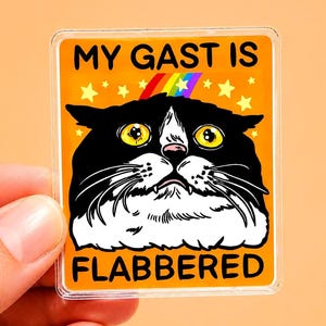 Grappige kattenmagneet, motiverend, sarcastisch cadeau voor haar, humoristisch cadeau voor hem, grappige koelkastmagneet, gekke papa-grap, decoratie, eigenzinnig, maf, raar.