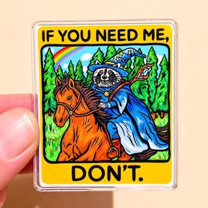 May include: A rectangular magnet featuring a raccoon dressed as a wizard in a blue robe and hat, riding a brown horse through a green forest with a rainbow in the sky. The text reads IF YOU NEED ME, at the top and DON'T. at the bottom in black.