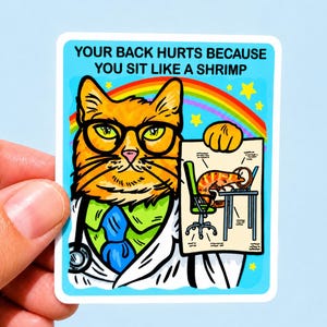 May include: A rectangular sticker featuring an orange cat wearing glasses, a green shirt, a blue tie, and a white lab coat. The text reads, YOUR BACK HURTS BECAUSE YOU SIT LIKE A SHRIMP. The background shows a rainbow and stars with a diagram of a shrimp.