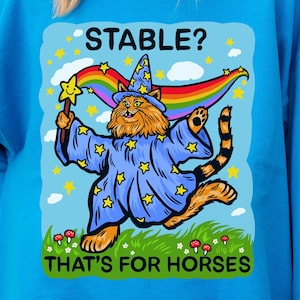 Wizard Cat Sweatshirt Hilarious Mental Health Sweater Cat Themed Gift Medieval Sweat Shirt Weird Stuff Sarcastic Pullover Weirdcore Clothing
