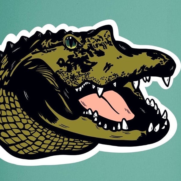 Florida Gator Window Decal Etsy
