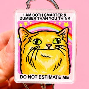 Könnte beinhalten: Ein rechteckiger Acryl-Schlüsselanhänger mit einer Illustration einer gelben Katze mit grünen Augen. Über der Katze steht der Text I AM BOTH SMARTER & DUMBER THAN YOU THINK. Unter der Katze steht der Text DO NOT ESTIMATE ME. Ein Regenbogen und gelbe Sterne sind hinter der Katze abgebildet.