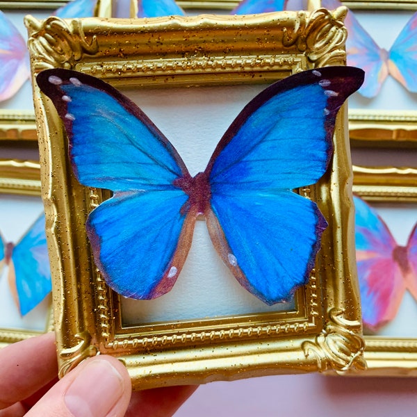 Blue Framed Butterfly Set Faux Taxidermy Custom Entomology Butterfly Dopamine Decor Coquette Home Cute Aesthetic Whimsigoth Decor Moth Gift