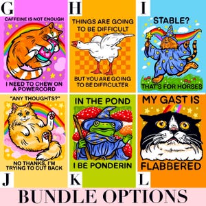 Custom Sticker Bundle Funny Car Decal Bulk Raccoon Sticker Cat Themed Gift Cute Laptop Sticker Water Bottle Unhinged Decal Personalized Her image 6