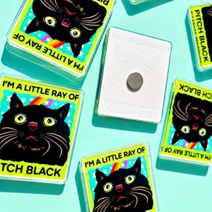 Funny Black Cat Magnet Hillarious Cat Owner Gift Vet Tech Locker Magnet Cat Lover Decor Cute Gift Idea Cat Themed Humor Fridge Decor Goofy image 7