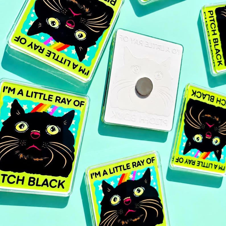 Funny Black Cat Magnet Hillarious Cat Owner Gift Vet Tech Locker Magnet Cat Lover Decor Cute Gift Idea Cat Themed Humor Fridge Decor Goofy image 7