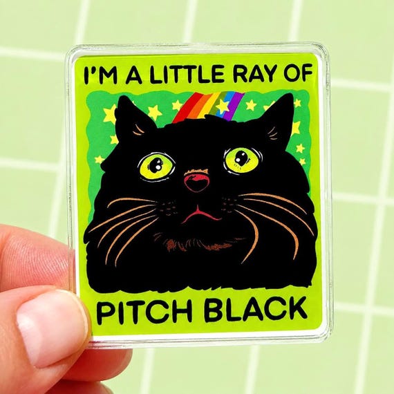 Funny Black Cat Magnet Hillarious Cat Owner Gift Vet Tech Locker Magnet Cat Lover Decor Cute Gift Idea Cat Themed Humor Fridge Decor Goofy