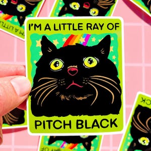 Black Cat Sticker Funny Cat Owner Decal Cute Gift Cat Lover Decor Water Bottle Hilarious Coworker Gift Sarcastic Sticker Vet Work Decal Fun
