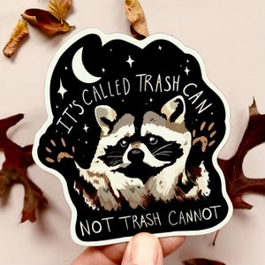 Funny Raccoon Motivational Magnet Sarcastic Gift for Her Humor Gift for Him Funny Fridge Magnet Unhinged Dad Joke Decor Quirky Goofy Weird