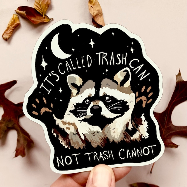 Funny Raccoon Motivational Magnet Sarcastic Gift for Her Humor Gift for Him Funny Fridge Magnet Unhinged Dad Joke Decor Quirky Goofy Weird