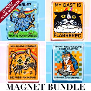 Puede incluir: Un conjunto de cuatro imanes rectangulares con ilustraciones de gatos y frases humor&iacute;sticas. Los imanes presentan gatos disfrazados de magos, con arco&iacute;ris y textos como "Flabbered" y "Because I am insane."