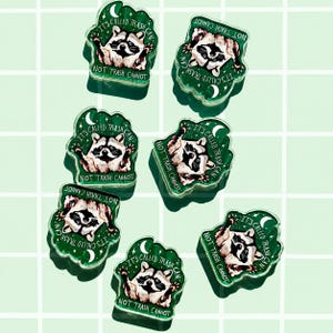 May include: A collection of green and white raccoon-themed pins. Each pin features a raccoon illustration with the text "IT'S CALLED TRASH CAN, NOT TRASH CANNOT". The pins are arranged on a light green grid background.