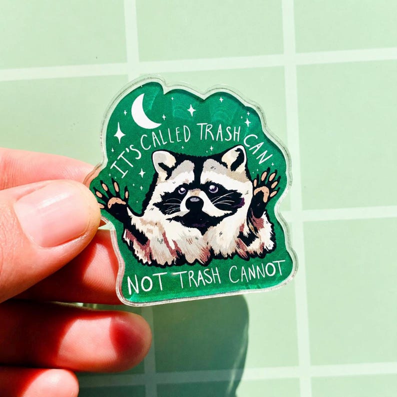 May include: A clear acrylic pin featuring a raccoon with a black and white face and paws, set against a green background with a crescent moon and stars. The text reads "IT'S CALLED TRASH CAN NOT TRASH CANNOT."