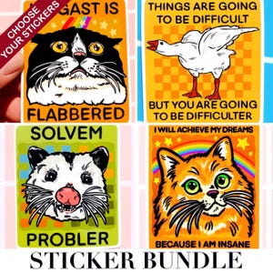 May include: A sticker bundle featuring four colorful designs. One sticker has a black and white cat with the text "FLABBERED". Another shows a goose with the text "THINGS ARE GOING TO BE DIFFICULT". A third sticker has a possum with the text "PROBLER". The last sticker has an orange cat with the text "BECAUSE I AM INSANE".