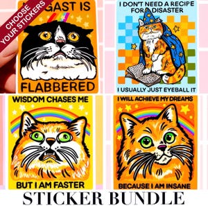 K&ouml;nnte beinhalten: Ein Set aus vier rechteckigen Aufklebern mit Katzenillustrationen und Text. Einer zeigt eine schwarz-wei&szlig;e Katze mit dem Text FLABBERED, ein anderer eine orangefarbene Katze im Zaubererumhang mit I DON'T NEED A RECIPE FOR DISASTER I USUALLY JUST EYEBALL IT.
