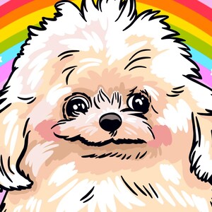 May include: A vertical rectangular graphic on a light pink background featuring a fluffy white dog with large dark eyes in front of a rainbow. The text reads: EVEN A GANGSTA LIKE ME NEEDS A LIL' FOREHEAD KISS SOMETIMES. Includes an Instagram icon and handle.