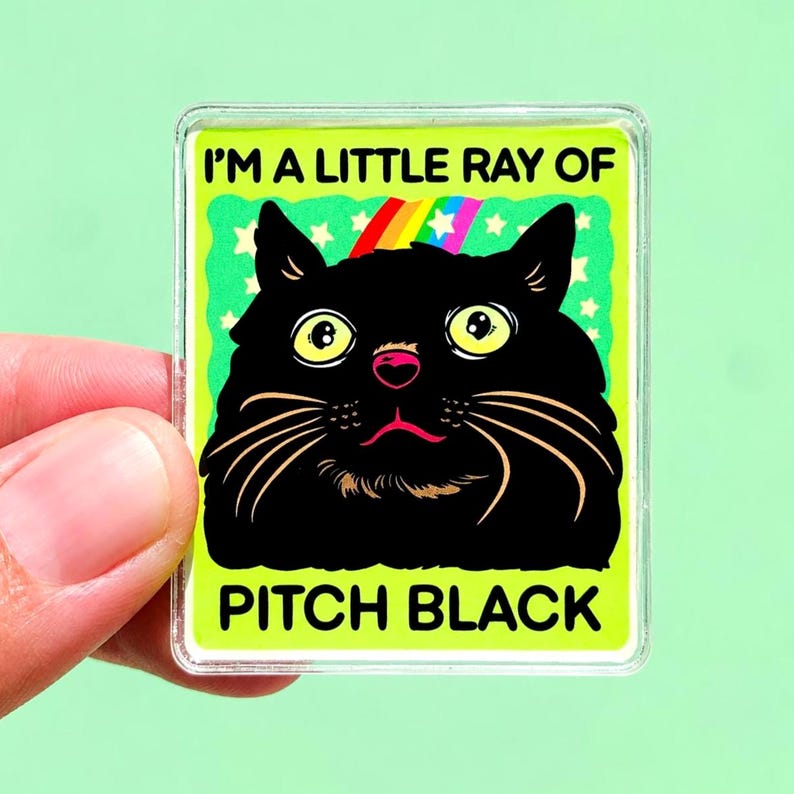 Funny Black Cat Magnet Hillarious Cat Owner Gift Vet Tech Locker Magnet Cat Lover Decor Cute Gift Idea Cat Themed Humor Fridge Decor Goofy image 8
