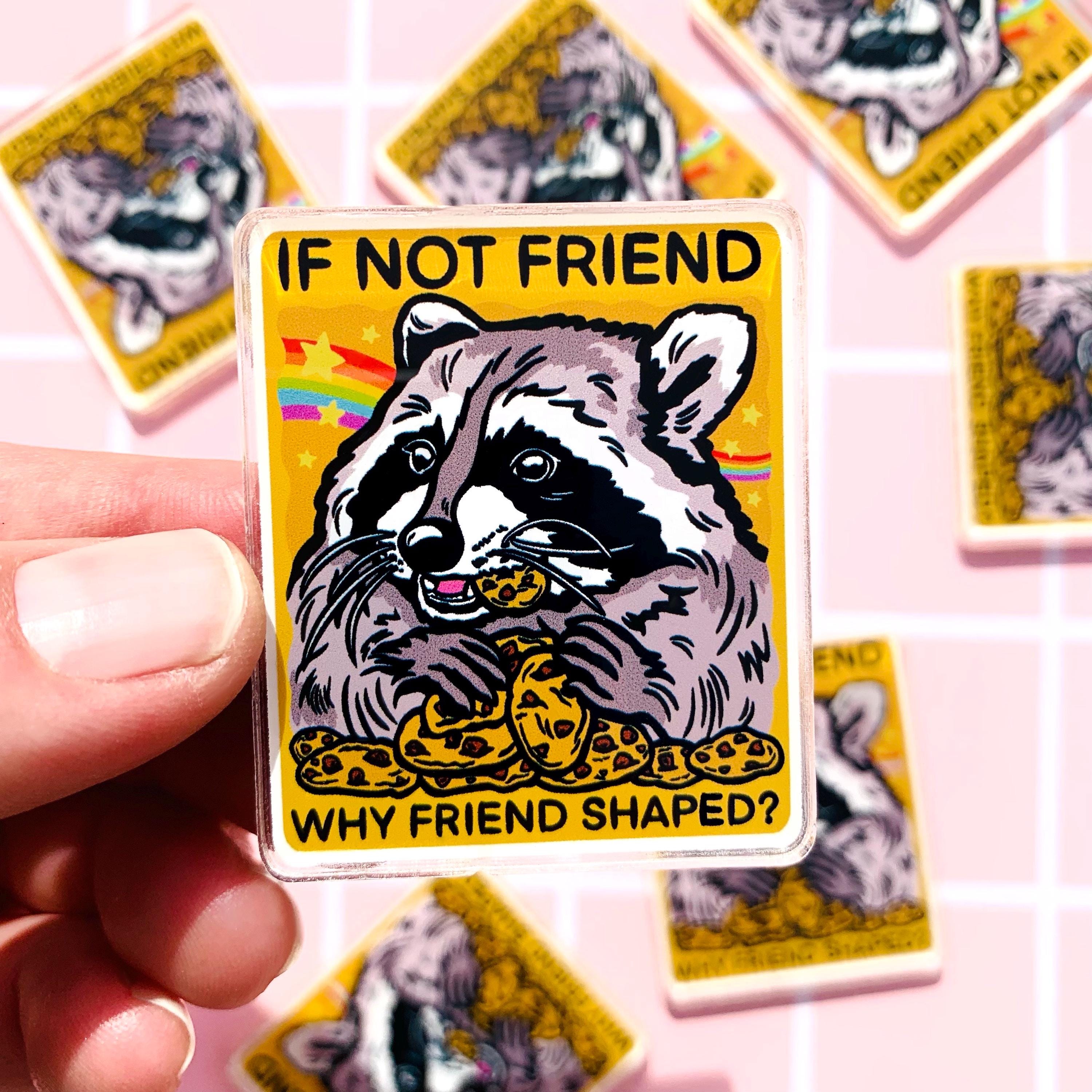 Best Friend Gift Magnet Raccoon Themed Gift Idea Trash Panda Home Decor ...