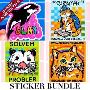 May include: A sticker bundle featuring four colorful designs. One sticker shows a black and white orca with the word "SLAY". Another depicts a cat in a wizard hat. A third sticker has a possum, and the last one is a cat with a rainbow. The text "CHOOSE YOUR STICKERS" and "STICKER BUNDLE" are also visible.