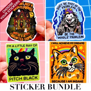 May include: A sticker bundle featuring four colorful designs. One sticker says "Not Just a Haunted House, It's a Haunted Home" with a spooky house illustration. Another says "Don't Be Part of the Problem, Be the Whole Problem" with an opossum. Other stickers say "I'm a Little Ray of Pitch Black" and "I Will Achieve My Dreams Because I Am Insane".