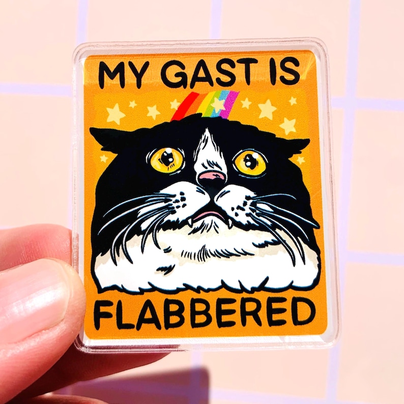 Puede incluir: Pin rectangular de color naranja-amarillo con un gato de dibujos animados con pelaje blanco y negro, ojos amarillos y un arco&iacute;ris. El texto "MY GAST IS FLABBERED" se muestra en negro. El pin lo sostiene una persona.