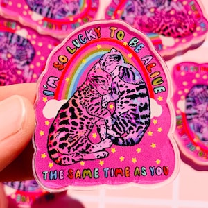 May include: A pink sticker with two hugging cats under a rainbow. The sticker has the text "I'm so lucky to be alive the same time as you". The cats have spotted and striped patterns.
