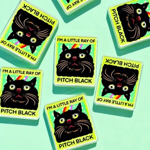 Funny Black Cat Magnet Hillarious Cat Owner Gift Vet Tech Locker Magnet Cat Lover Decor Cute Gift Idea Cat Themed Humor Fridge Decor Goofy image 5