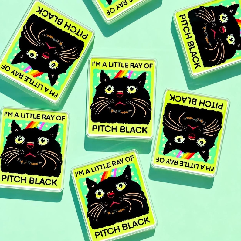 Funny Black Cat Magnet Hillarious Cat Owner Gift Vet Tech Locker Magnet Cat Lover Decor Cute Gift Idea Cat Themed Humor Fridge Decor Goofy image 5