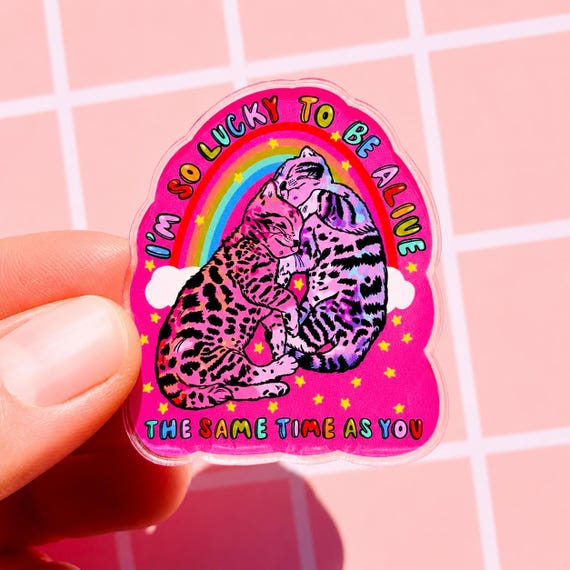 Cat Magnet Rainbow Fridge Decor Cat Lover Gift Dopamine Decor Cubicle Magnet Locker Cute Cat Themed Gift Vet Tech Affirmation Magnet Kitty