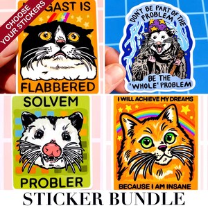 Pu&ograve; includere: Un pacchetto di adesivi con quattro design colorati e stravaganti. Un adesivo mostra un gatto bianco e nero con la scritta "FLABBERED". Un altro raffigura un opossum con "BE THE *WHOLE* PROBLEM". Il pacchetto include un adesivo con un gatto e la scritta "BECAUSE I AM INSANE".