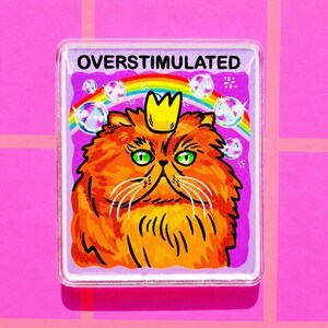 May include: A rectangular acrylic pin featuring an orange fluffy cat with green eyes wearing a yellow crown. Above the cat, the text OVERSTIMULATED is printed in black. The background includes a colorful rainbow and floating bubbles.