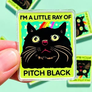 Funny Black Cat Magnet Hillarious Cat Owner Gift Vet Tech Locker Magnet Cat Lover Decor Cute Gift Idea Cat Themed Humor Fridge Decor Goofy image 2