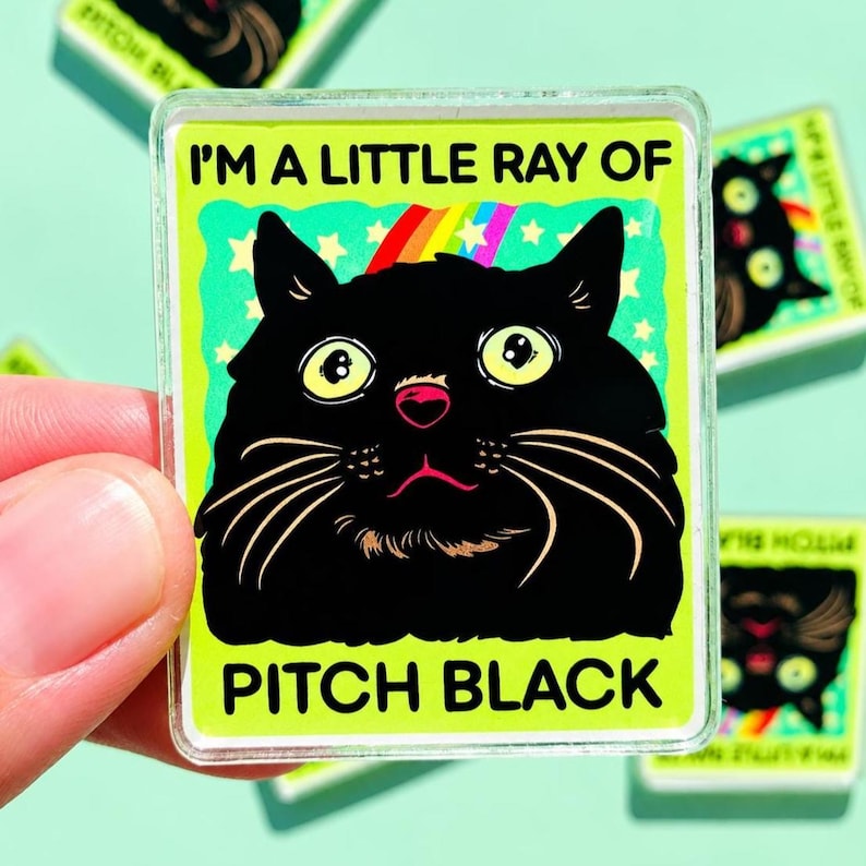 Funny Black Cat Magnet Hillarious Cat Owner Gift Vet Tech Locker Magnet Cat Lover Decor Cute Gift Idea Cat Themed Humor Fridge Decor Goofy image 2