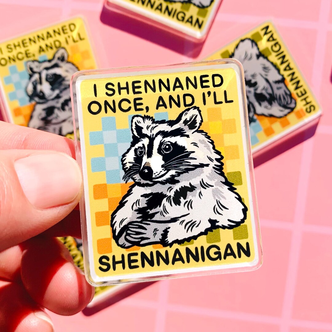 Funny Magnet Raccoon Gift Magnet Cute Trash Panda Magnet Fridge Decor ...