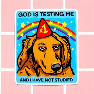 Puede incluir: Una pegatina con un perro de dibujos animados con un gorro de fiesta con el n&uacute;mero "#1". El perro tiene una expresi&oacute;n de mal humor, sobre un fondo azul con un arco&iacute;ris y estrellas. El texto dice "GOD IS TESTING ME AND I HAVE NOT STUDIED".