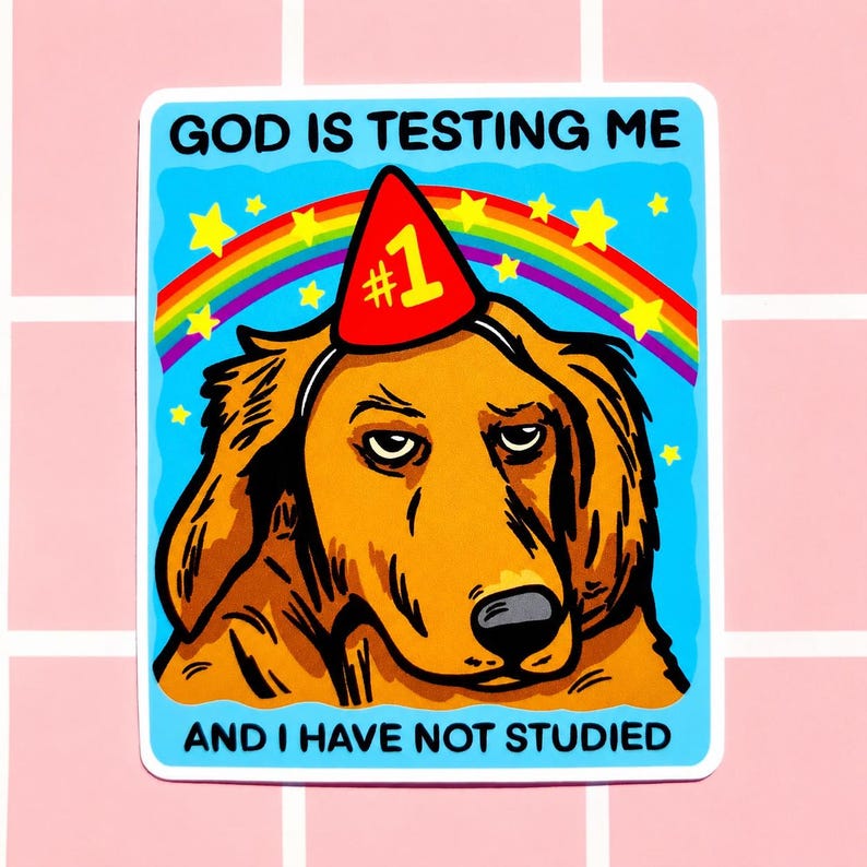 Puede incluir: Una pegatina con un perro de dibujos animados con un gorro de fiesta con el n&uacute;mero "#1". El perro tiene una expresi&oacute;n de mal humor, sobre un fondo azul con un arco&iacute;ris y estrellas. El texto dice "GOD IS TESTING ME AND I HAVE NOT STUDIED".