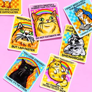 Custom Sticker Bundle Funny Car Decal Bulk Raccoon Sticker Cat Themed Gift Cute Laptop Sticker Water Bottle Unhinged Decal Personalized Her image 2
