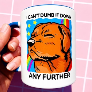 Può includere: Tazza in ceramica bianca con manico e bordo blu. La tazza presenta un'illustrazione a cartoni animati di un cane con la scritta "I CAN'T DUMB IT DOWN ANY FURTHER". Il cane è arancione con un arcobaleno e stelle sullo sfondo.
