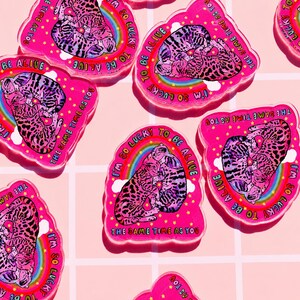 May include: A collection of acrylic charms featuring a pink background with two illustrated cats curled together. A rainbow and white clouds appear behind the cats, surrounded by yellow stars and the text I'M SO LUCKY TO BE ALIVE THE SAME TIME AS YOU.