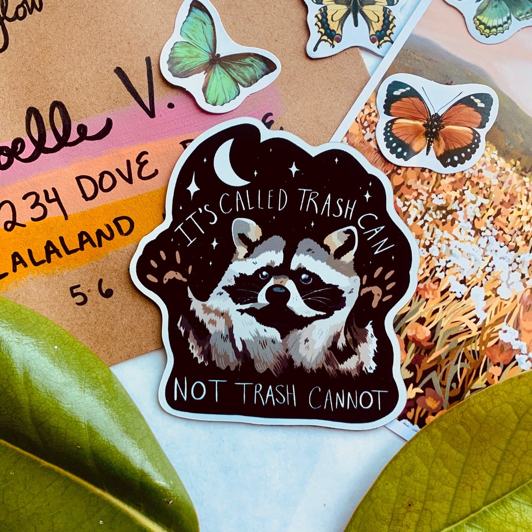 Gift Set Raccoon Personalized Gifts Under 20 Etsy