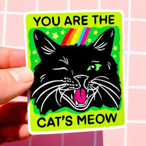 Black Cat Sticker Funny Cat Owner Decal Cute Gift Cat Lover Decor Water Bottle Hilarious Coworker Gift Sarcastic Sticker Vet Work Decal Fun