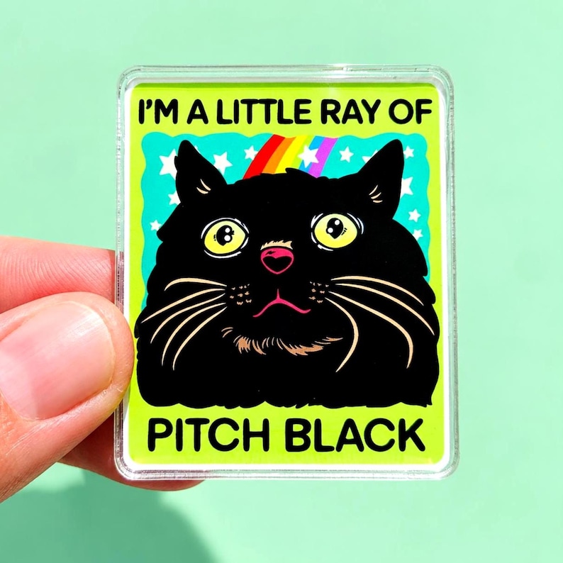 Funny Black Cat Magnet Hillarious Cat Owner Gift Vet Tech Locker Magnet Cat Lover Decor Cute Gift Idea Cat Themed Humor Fridge Decor Goofy image 1