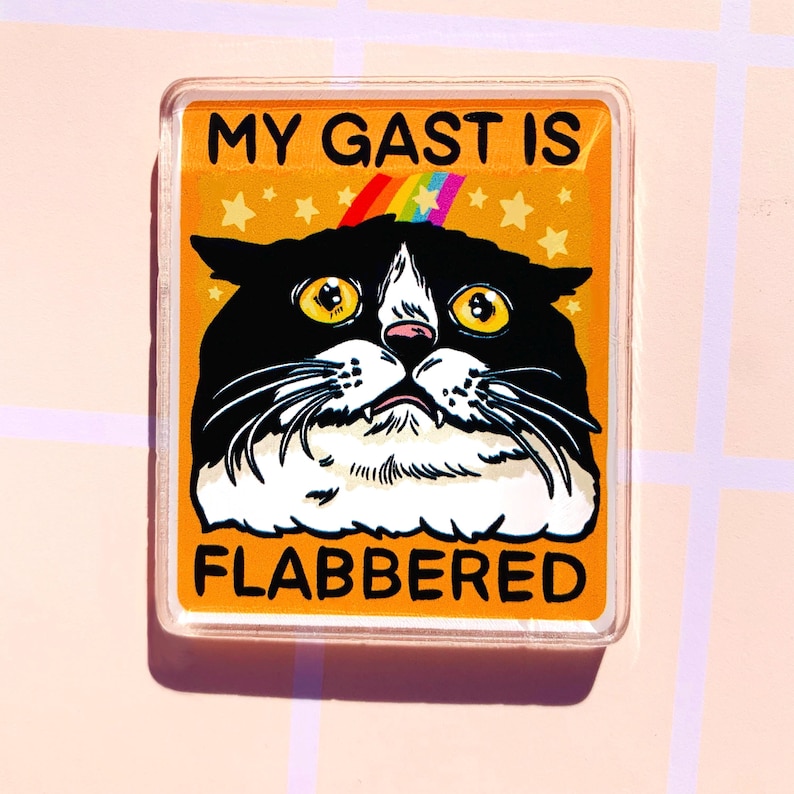 Puede incluir: Un im&aacute;n rectangular con una ilustraci&oacute;n de gato de dibujos animados. El gato es blanco y negro con ojos amarillos y nariz rosa. El im&aacute;n tiene el texto "MY GAST IS FLABBERED" sobre un fondo naranja con un arco&iacute;ris y estrellas.