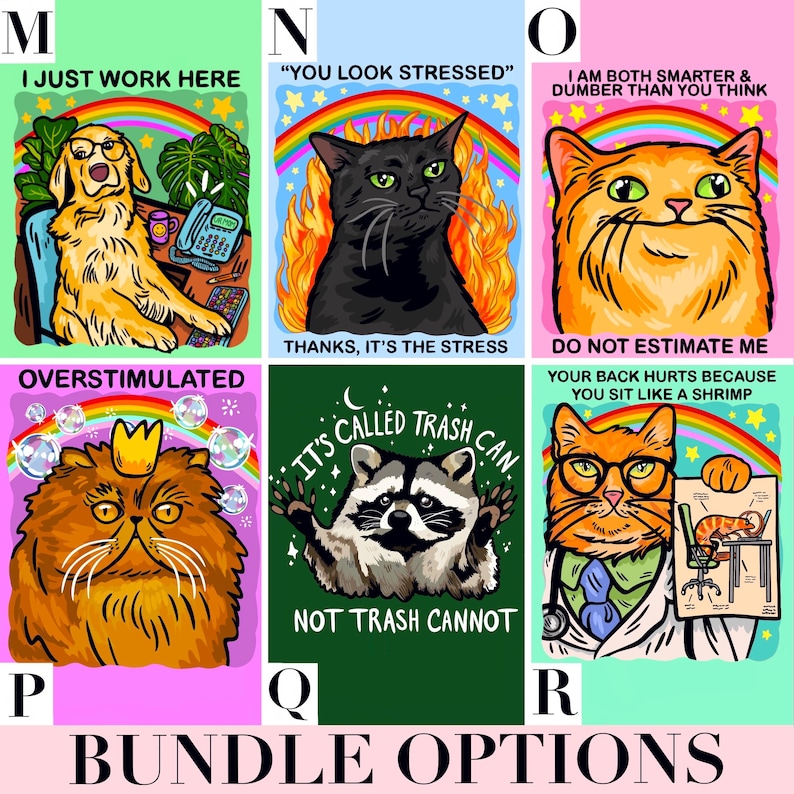 Custom Sticker Bundle Funny Car Decal Bulk Raccoon Sticker Cat Themed Gift Cute Laptop Sticker Water Bottle Unhinged Decal Personalized Her image 7