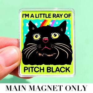 Funny Black Cat Magnet Hillarious Cat Owner Gift Vet Tech Locker Magnet Cat Lover Decor Cute Gift Idea Cat Themed Humor Fridge Decor Goofy MAIN MAGNET ONLY