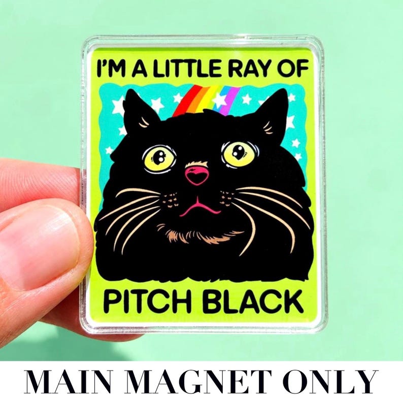 Funny Black Cat Magnet Hillarious Cat Owner Gift Vet Tech Locker Magnet Cat Lover Decor Cute Gift Idea Cat Themed Humor Fridge Decor Goofy MAIN MAGNET ONLY