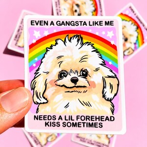 May include: A rectangular sticker featuring a fluffy cream-colored dog centered against a vibrant rainbow and pink background. The text reads: EVEN A GANGSTA LIKE ME NEEDS A LIL FOREHEAD KISS SOMETIMES. The sticker has a white border and rounded corners.