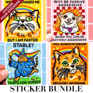 May include: A sticker bundle featuring four colorful designs. One sticker has an orange cat with the text "Why be passive aggressive when you can be actively aggressive." Another sticker has a cat wizard with the text "That's for horses."
