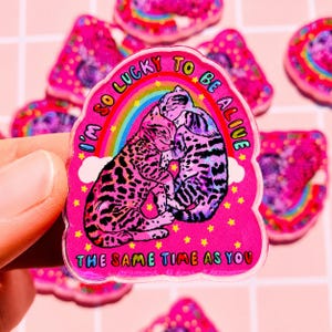 May include: A die-cut sticker with a vibrant pink background featuring two cats cuddling under a colourful rainbow and white clouds. The text reads I'M SO LUCKY TO BE ALIVE THE SAME TIME AS YOU, surrounded by small yellow stars and a glossy finish.